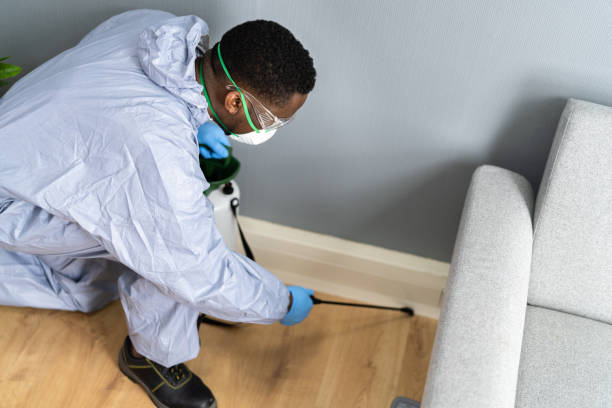 Best Pest Exclusion Services  in St Martinville, LA